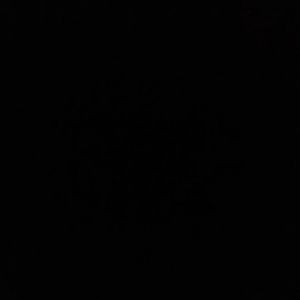 Meet your Posher, Avery